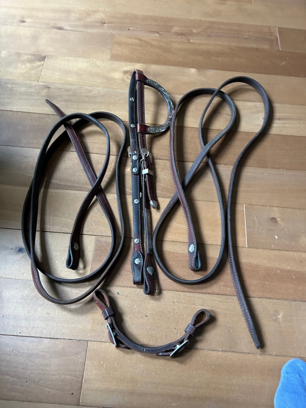Silver leather head stall and reins